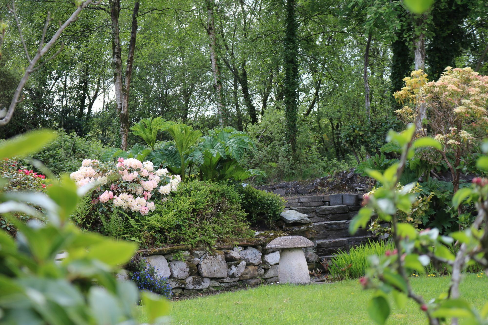 Bed and Breakfast Five Oaks Londonderry Exterior foto